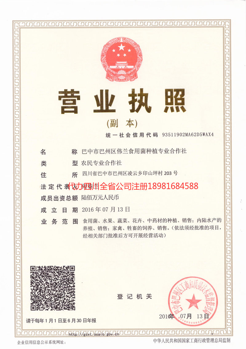 江苏江苏伟兰食用菌种植专业合作社